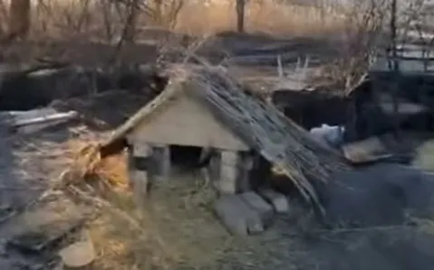 скрин видео.