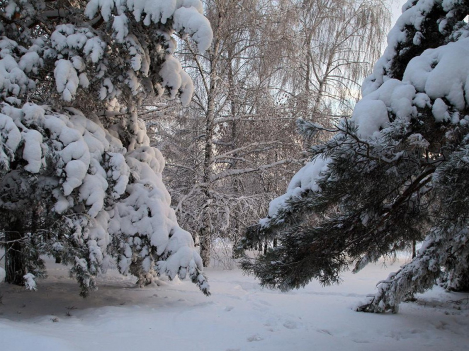 Фото Олега Яровикова.
