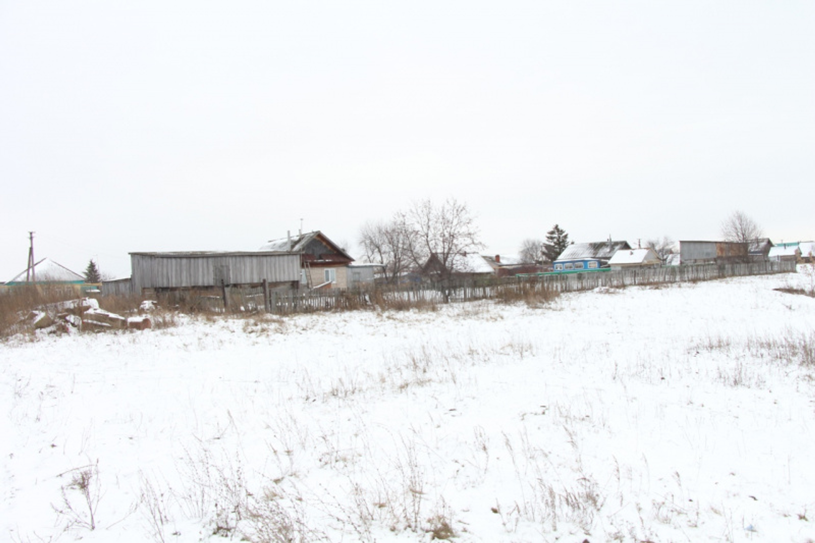 Фото Альмира Сибагатуллина.