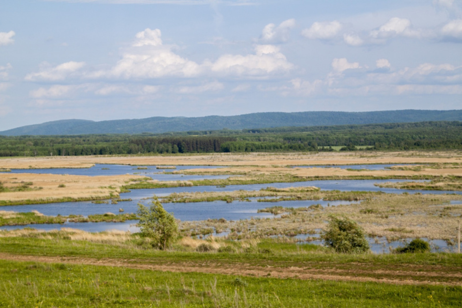 Фото Фаиля Абсатарова.