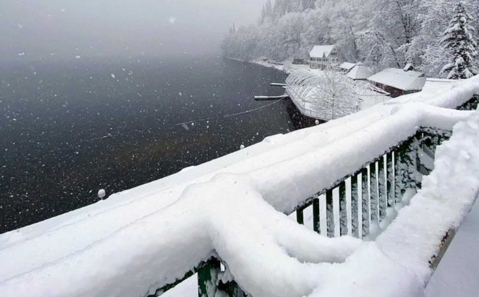 Елены Колоколовой.