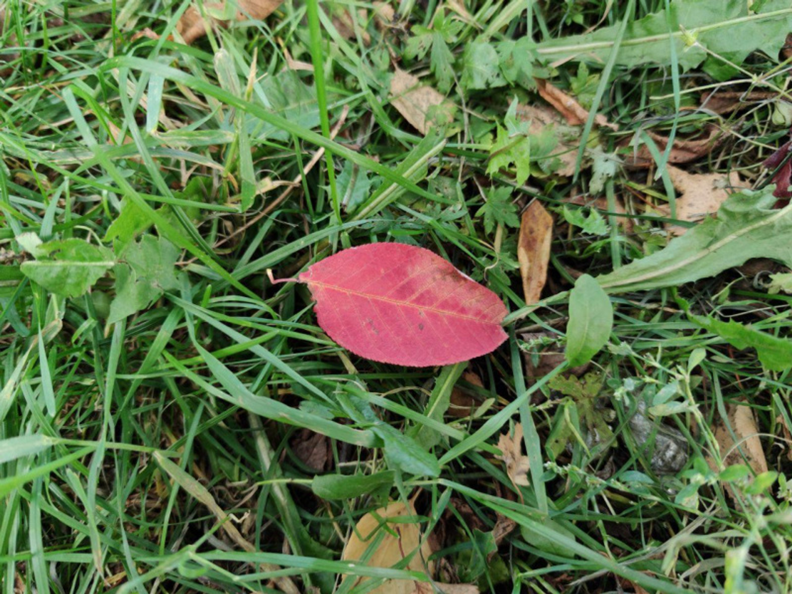 Фото автора.