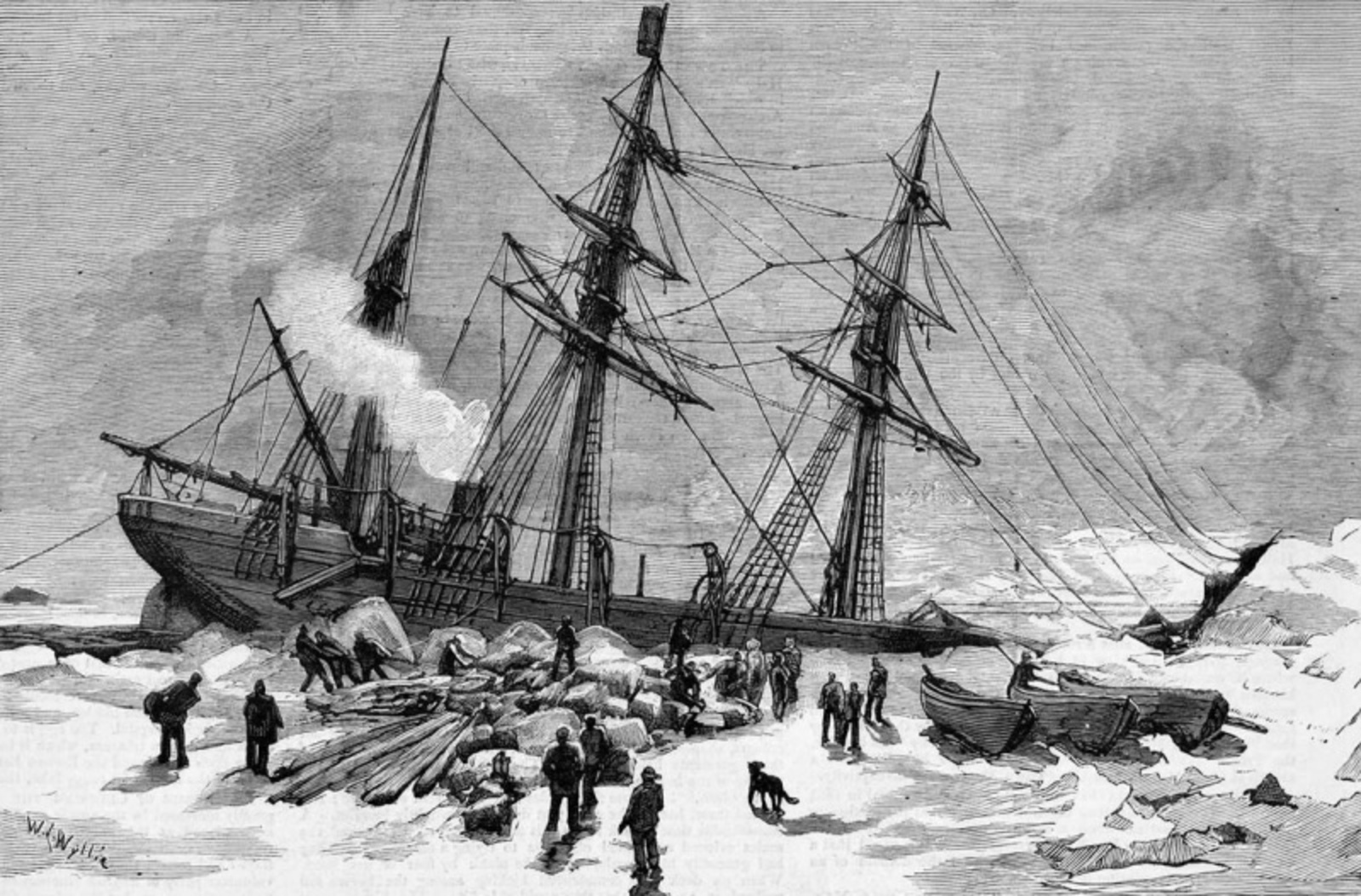 Фото: Vk, личная страница Радия Хабирова.