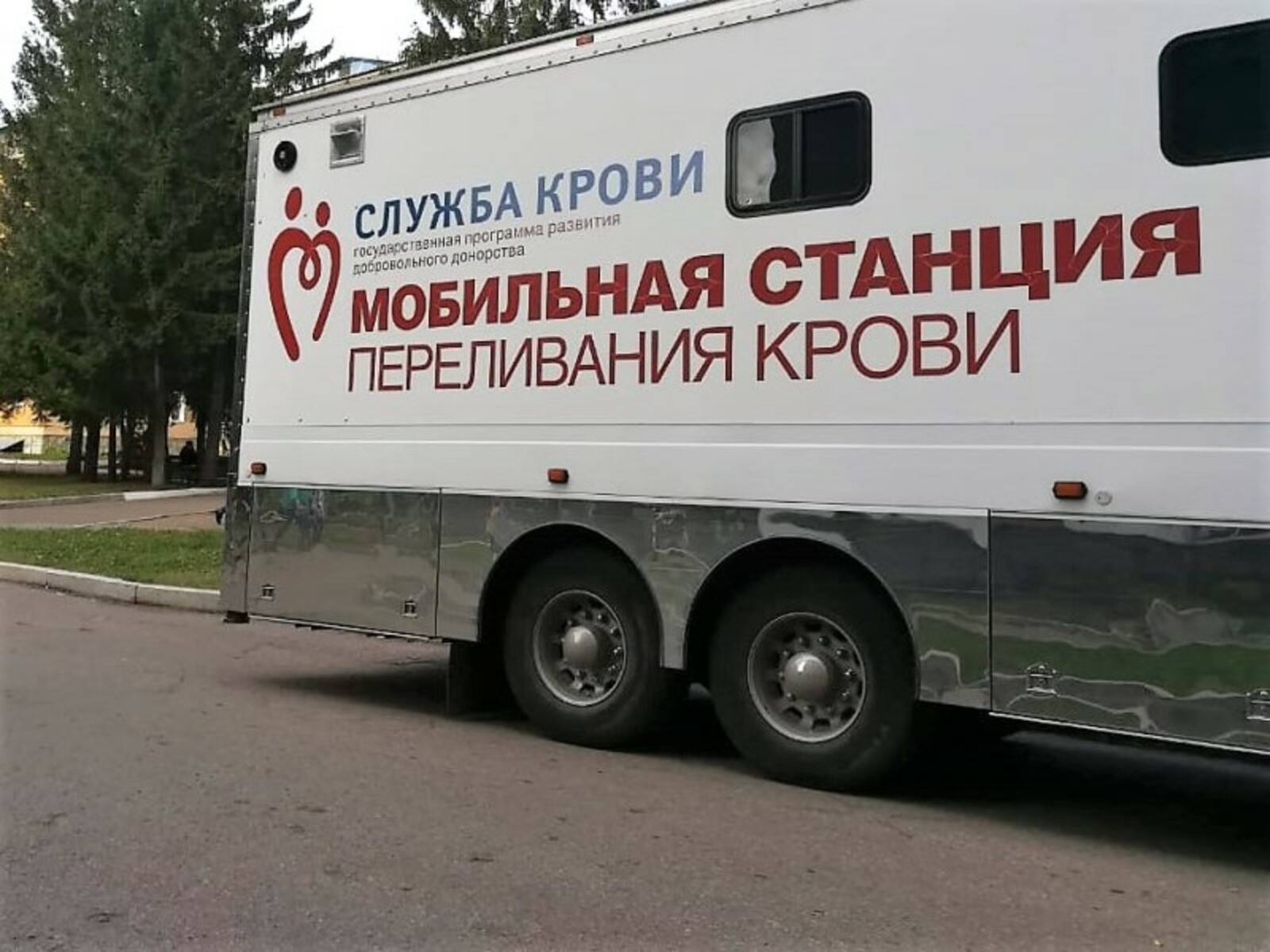 Фото автора.