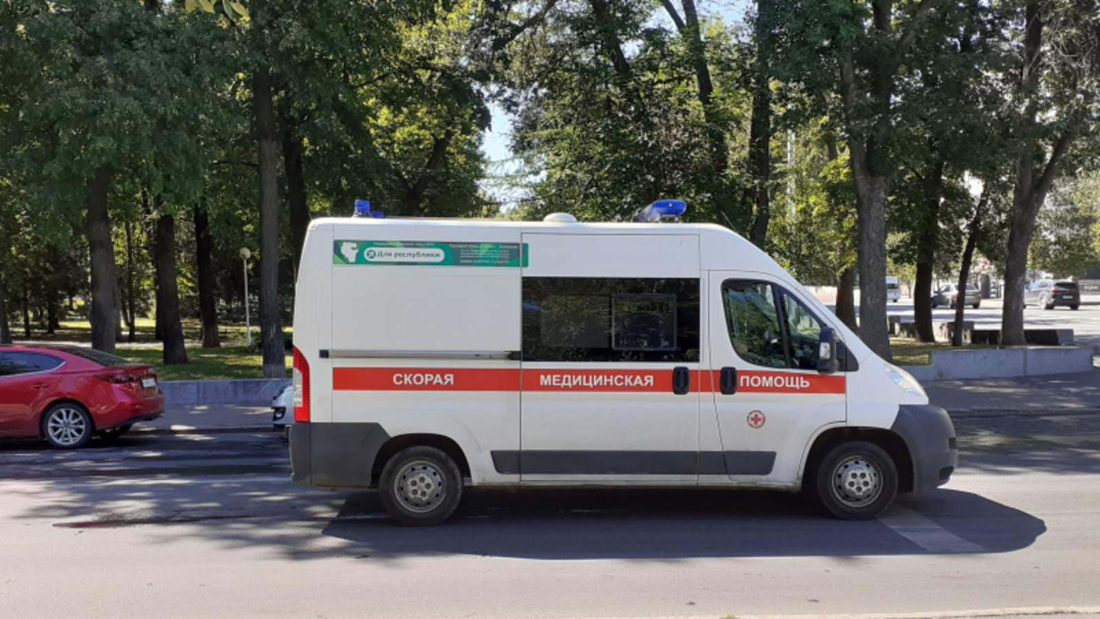 Фото автора.