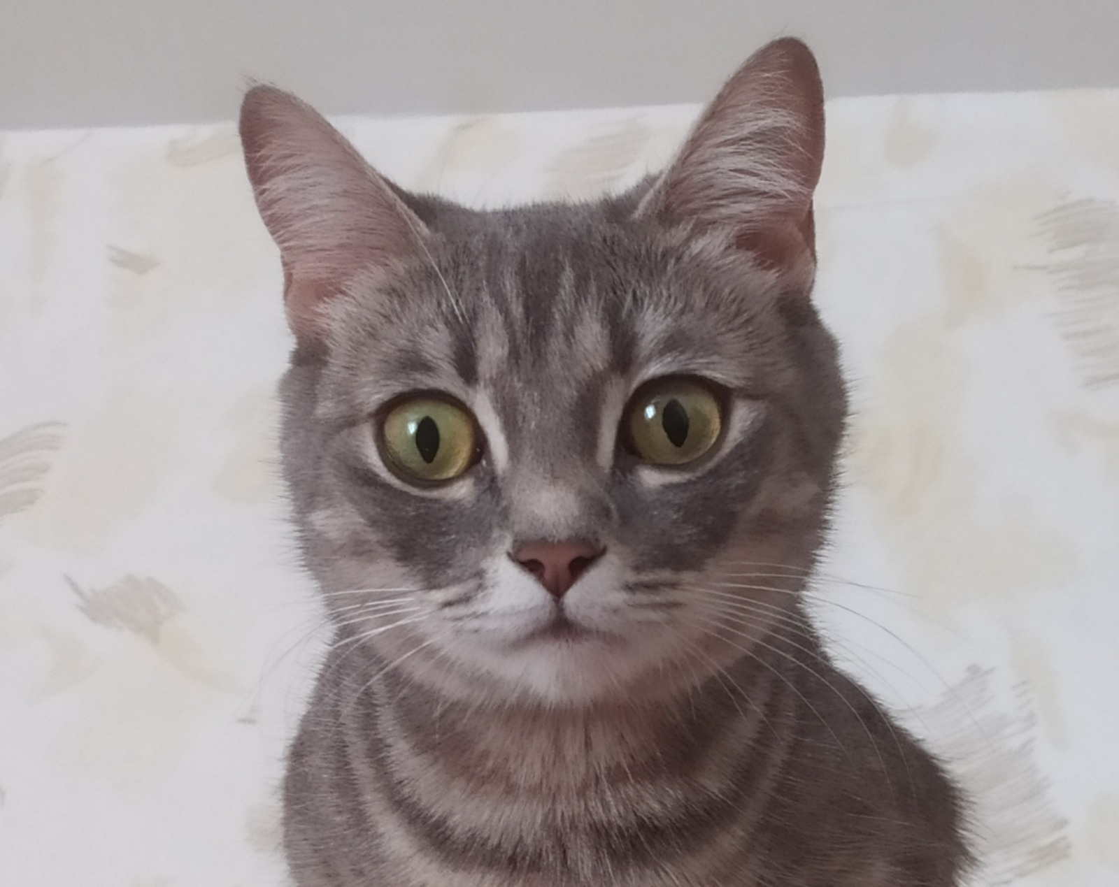 Васили Саитовой.