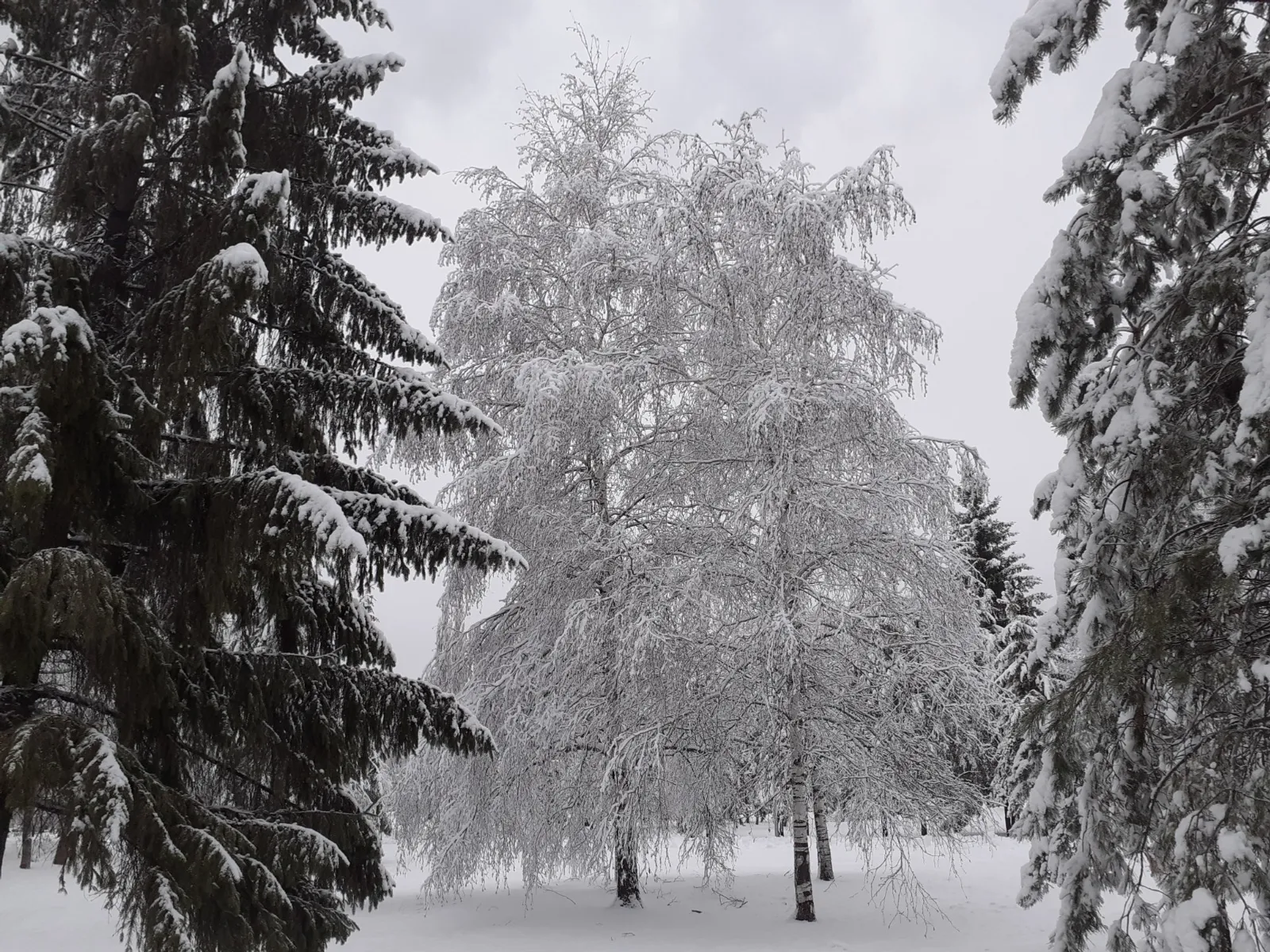 Владимира Шакиева.