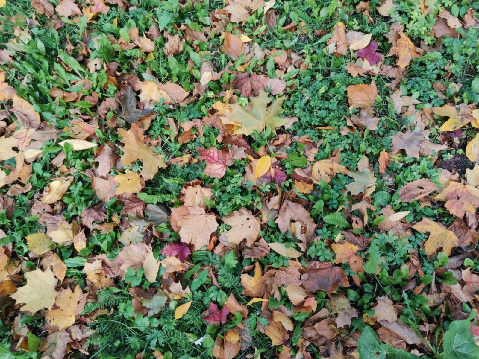 Дарьи Святохиной.