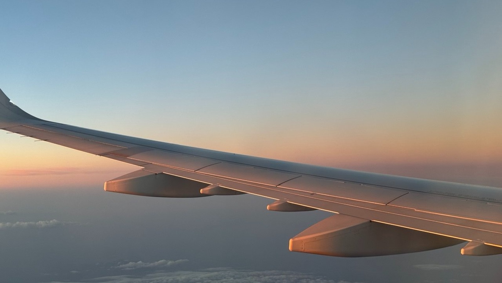 Елены Колоколовой. «Общественная электронная газета».