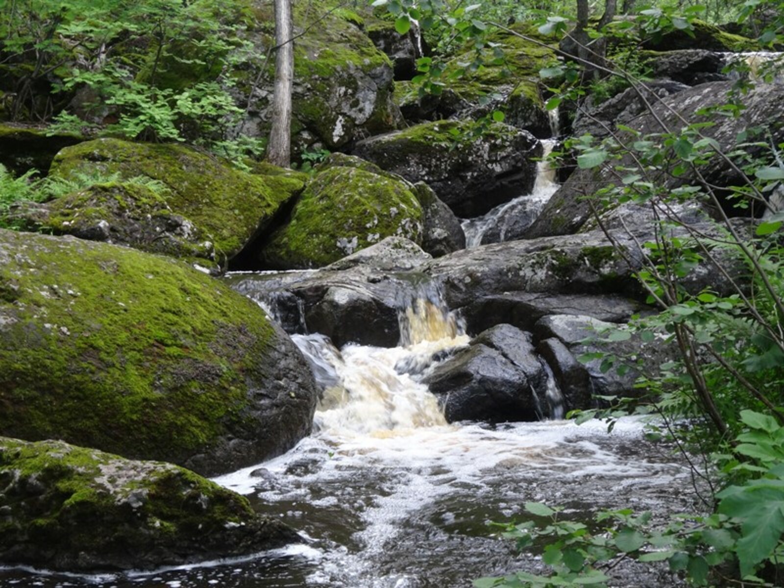 Фото автора.