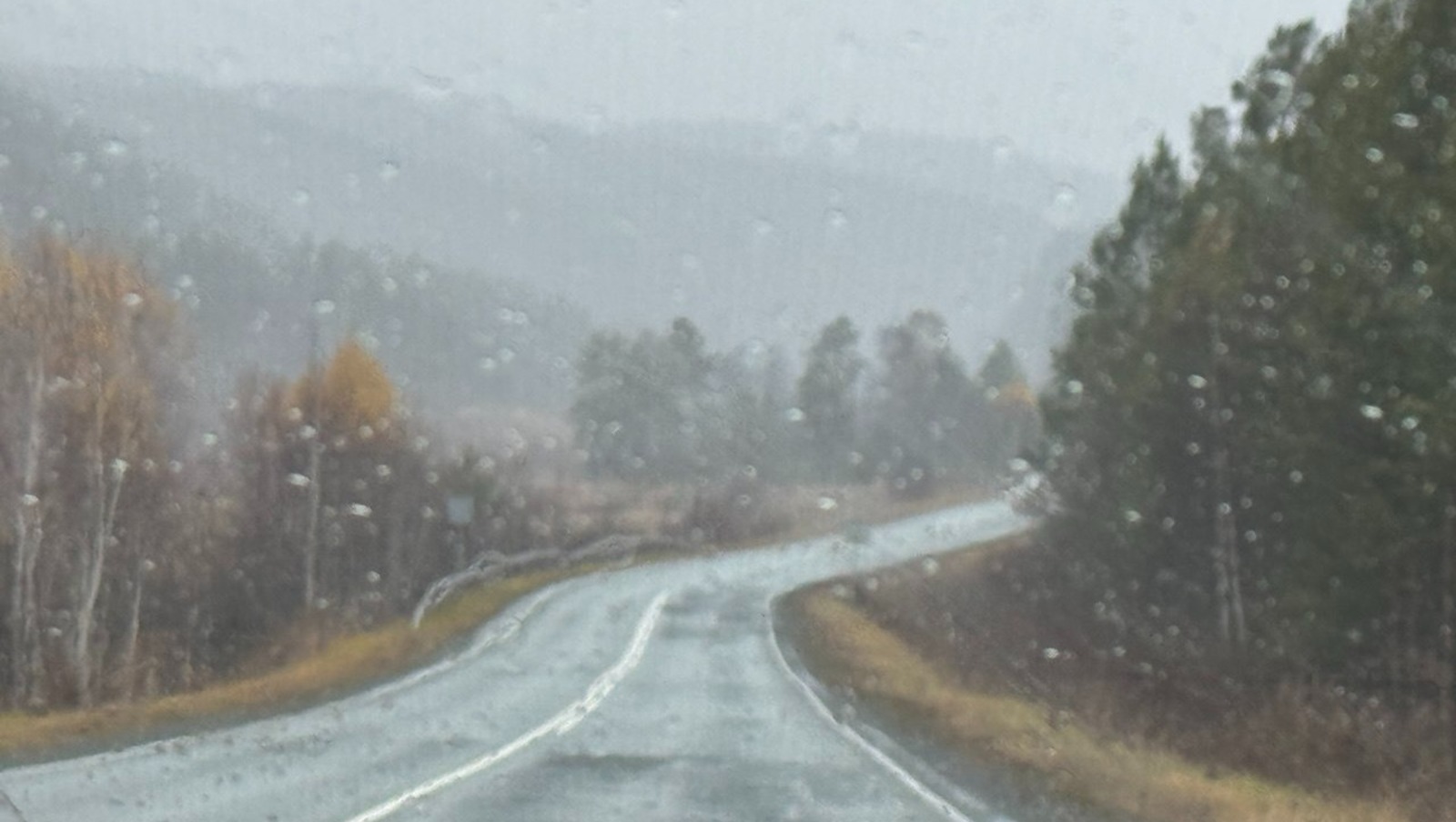 Елены Колоколовой.