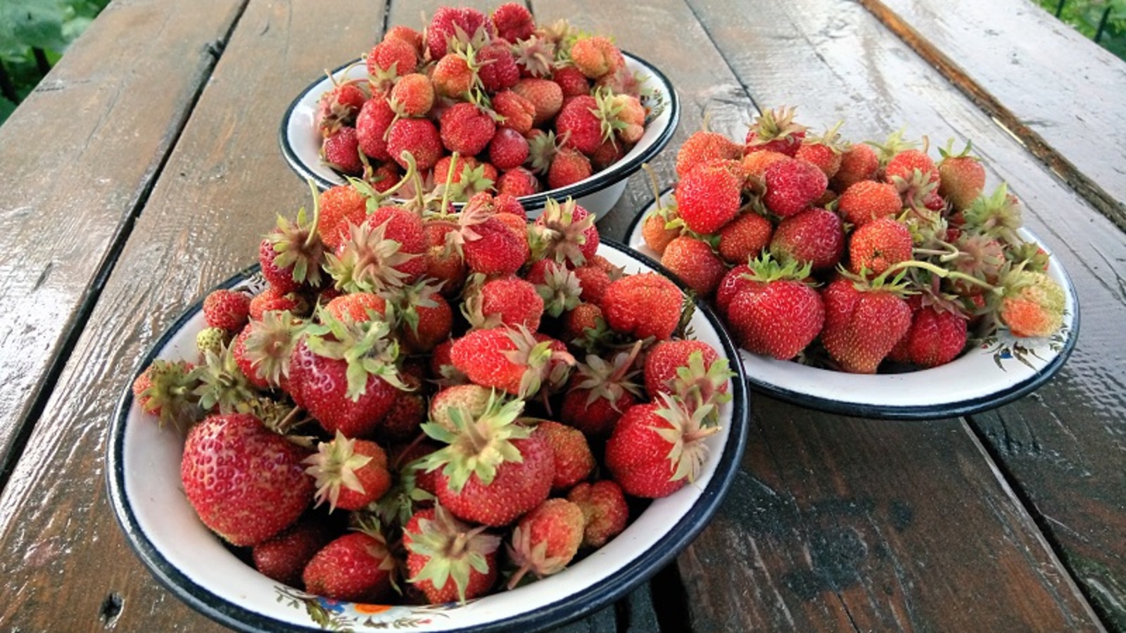 Фото Васили Саитовой.