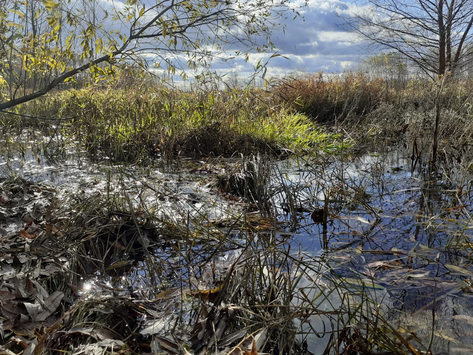 Владимира Шакиева.