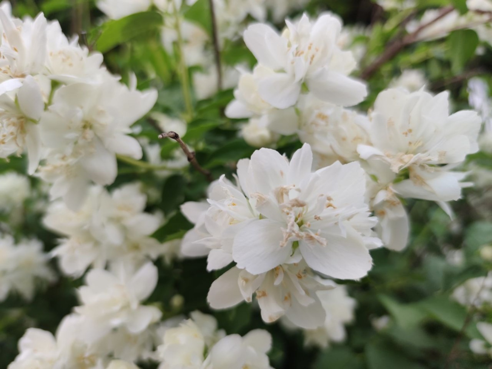 Дарьи Святохиной.