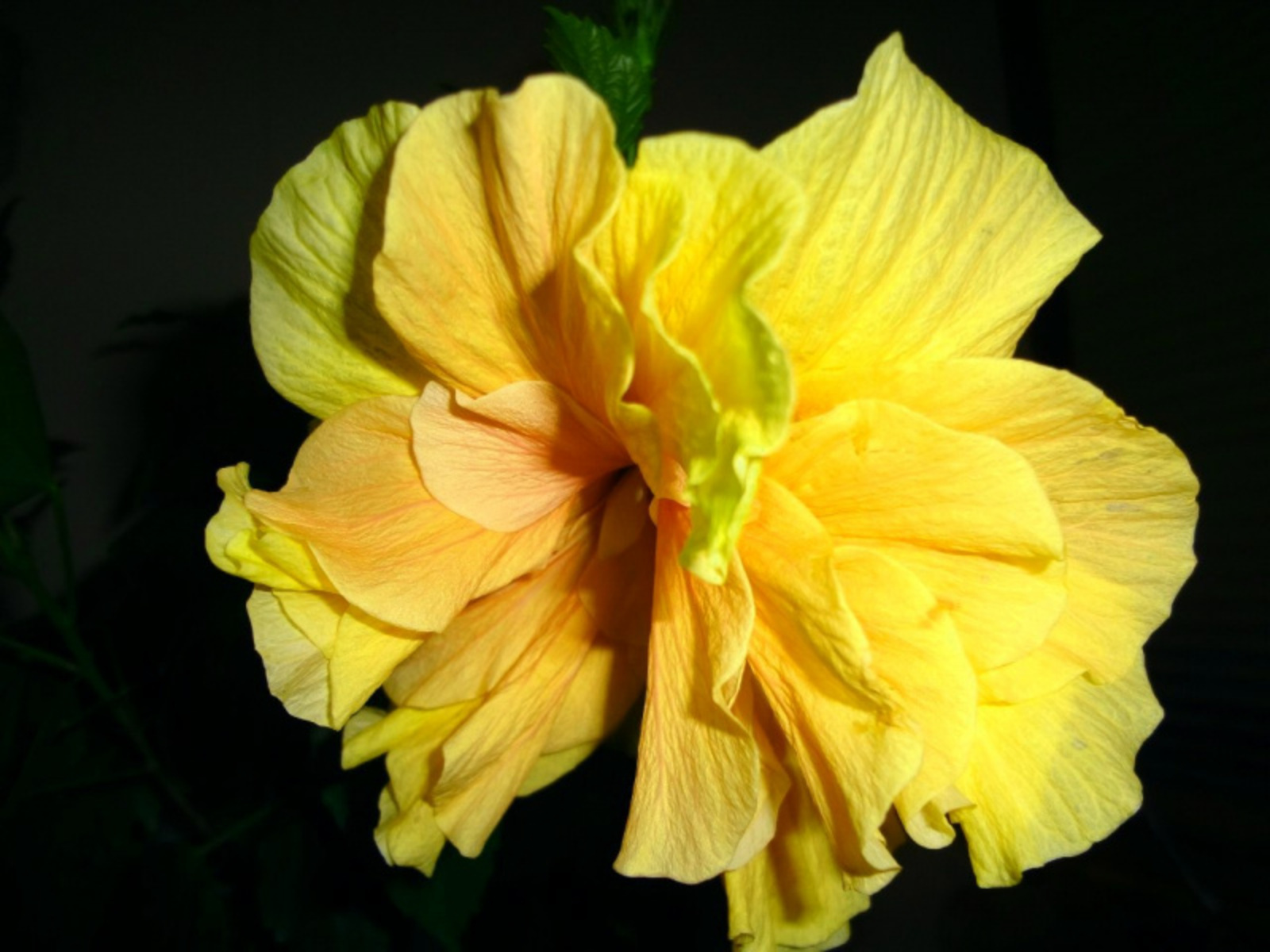 Фото Васили Саитовой.