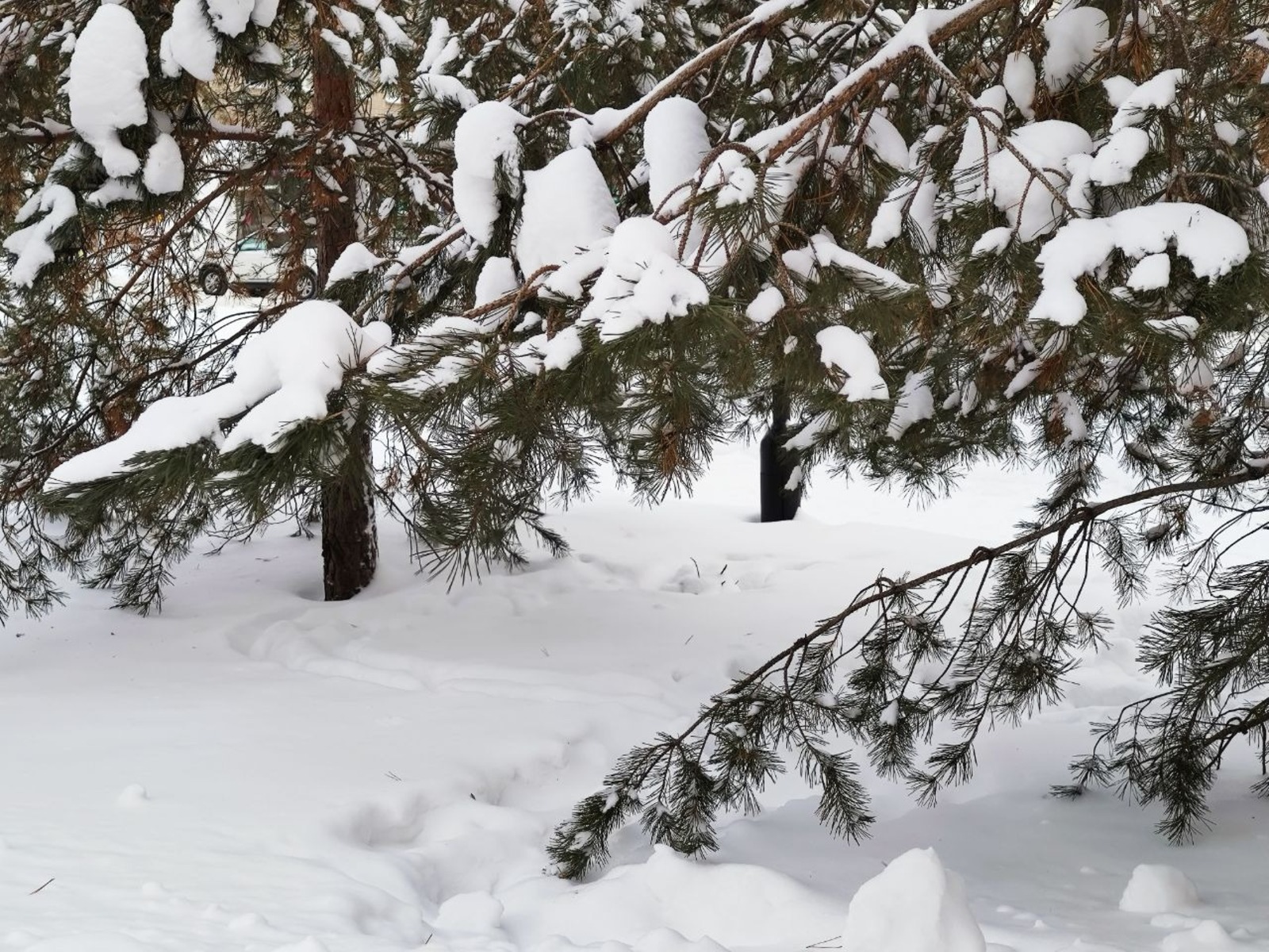 Дарьи Святохиной.