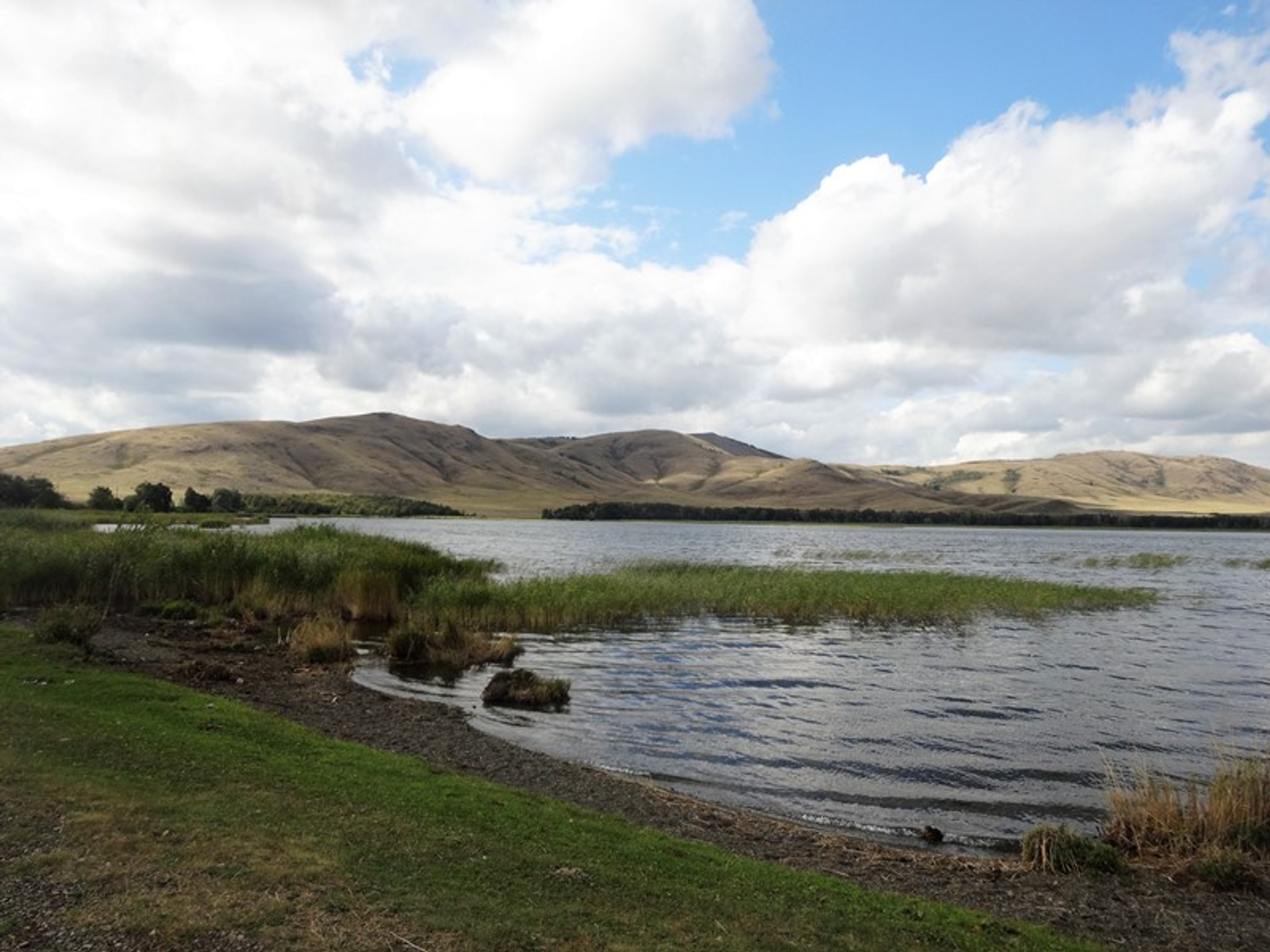 Фото автора.