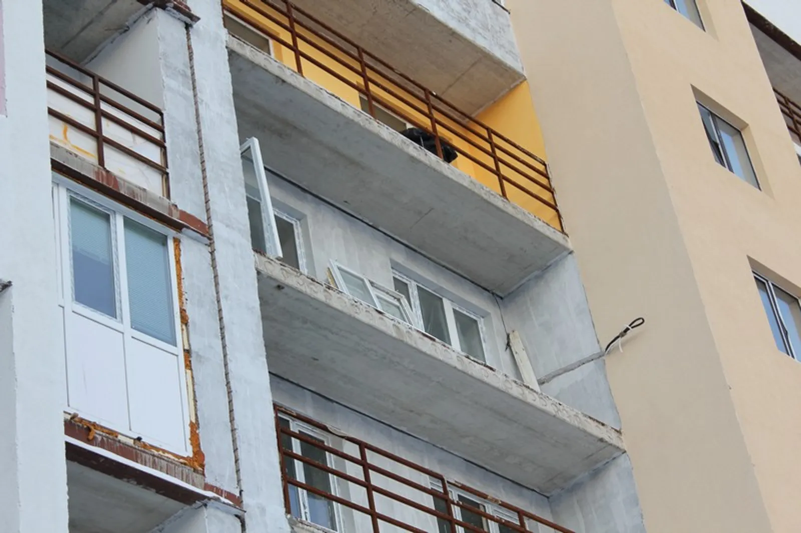 Фото автора.