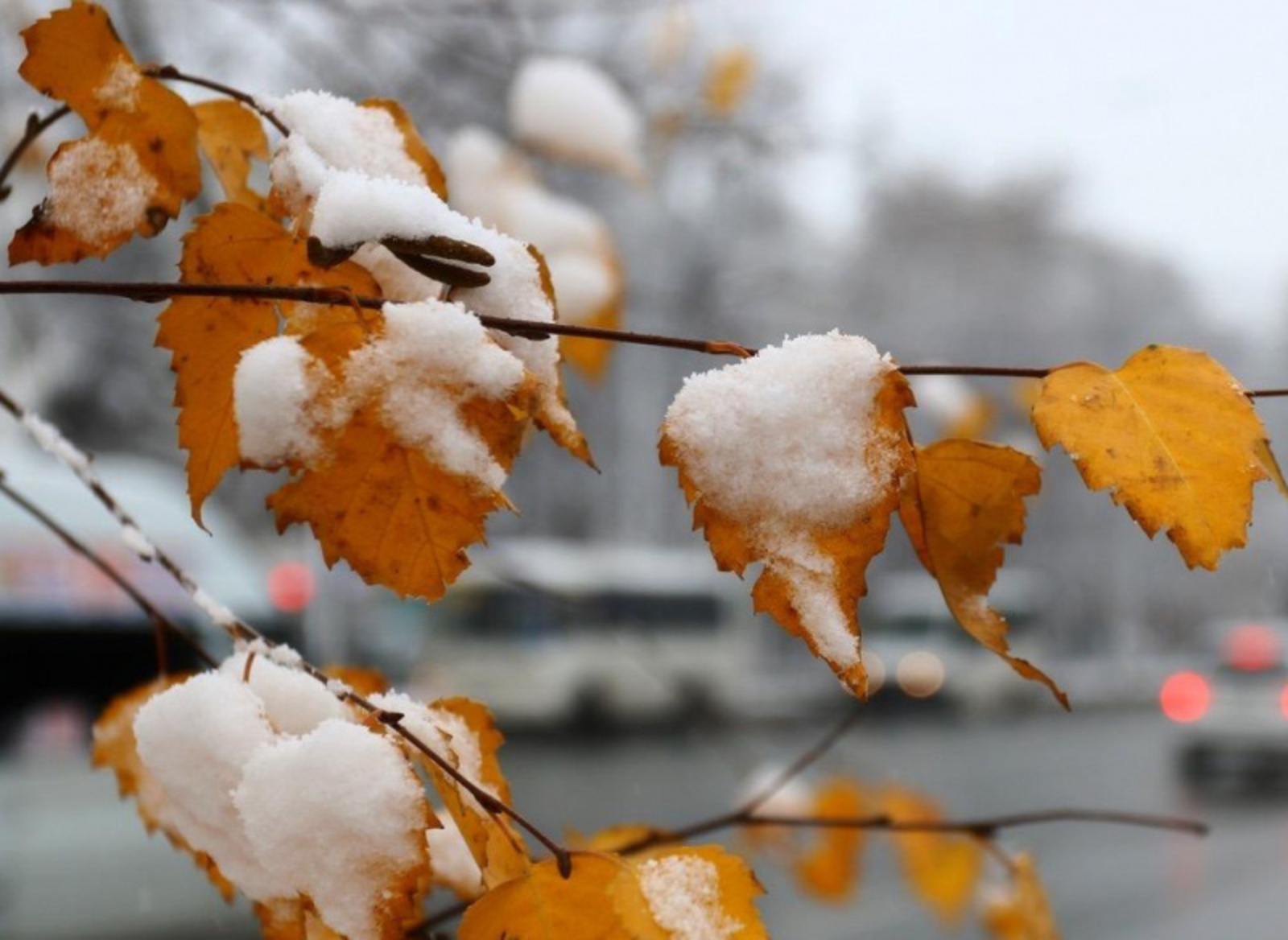 Фото: ИА «Башинформ».