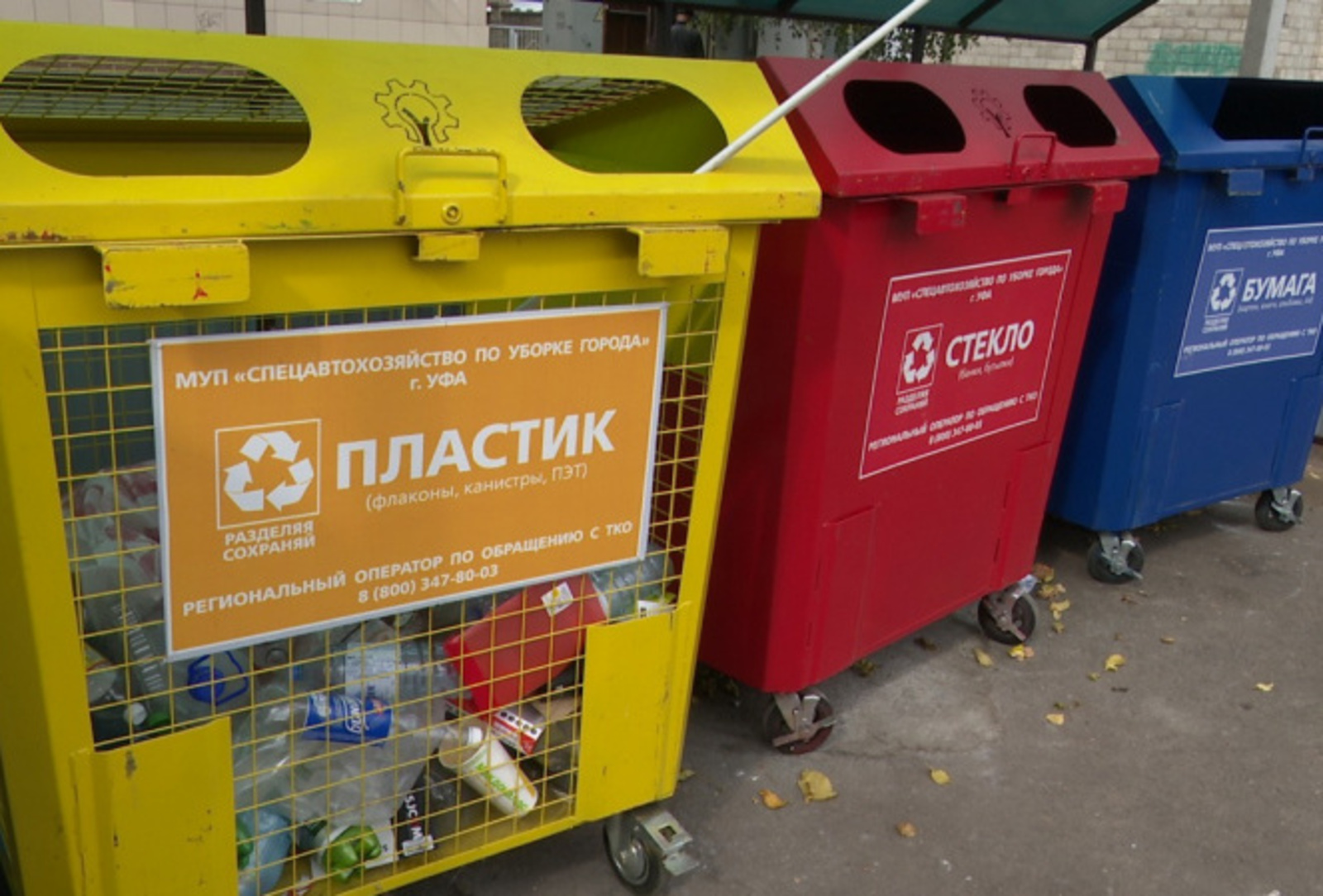 Фото: Vk, личная страница Радия Хабирова.