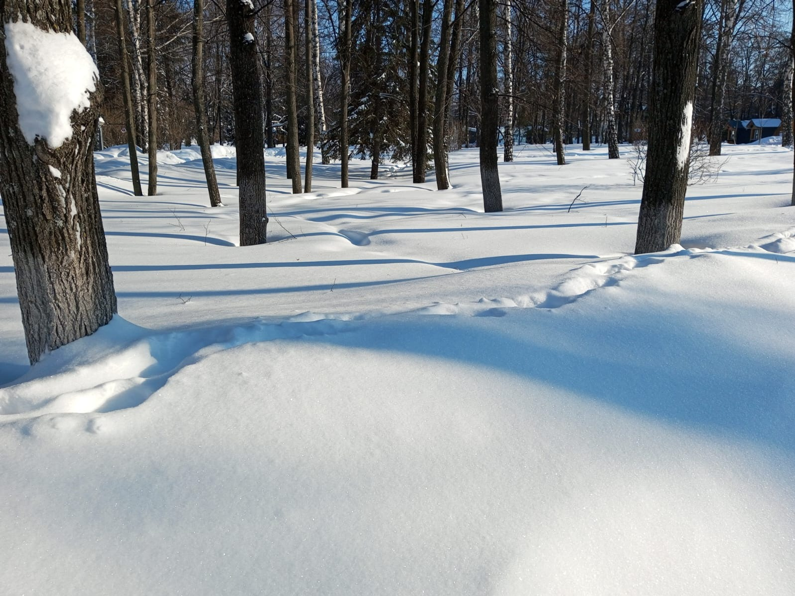 Евгении Сюткиной.