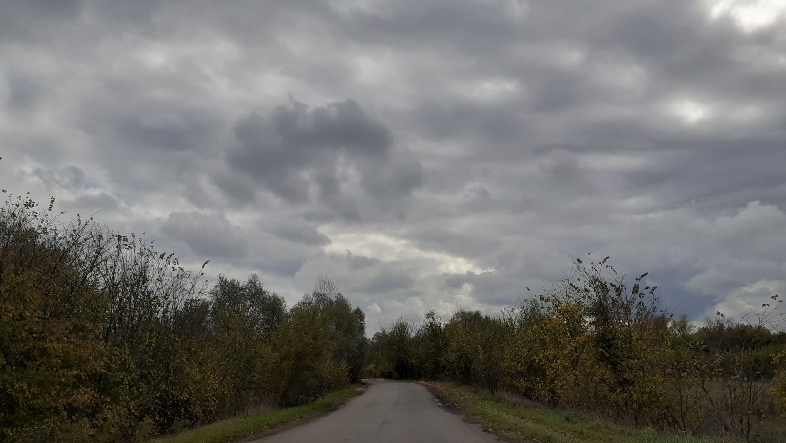 Владимира Шакиева.