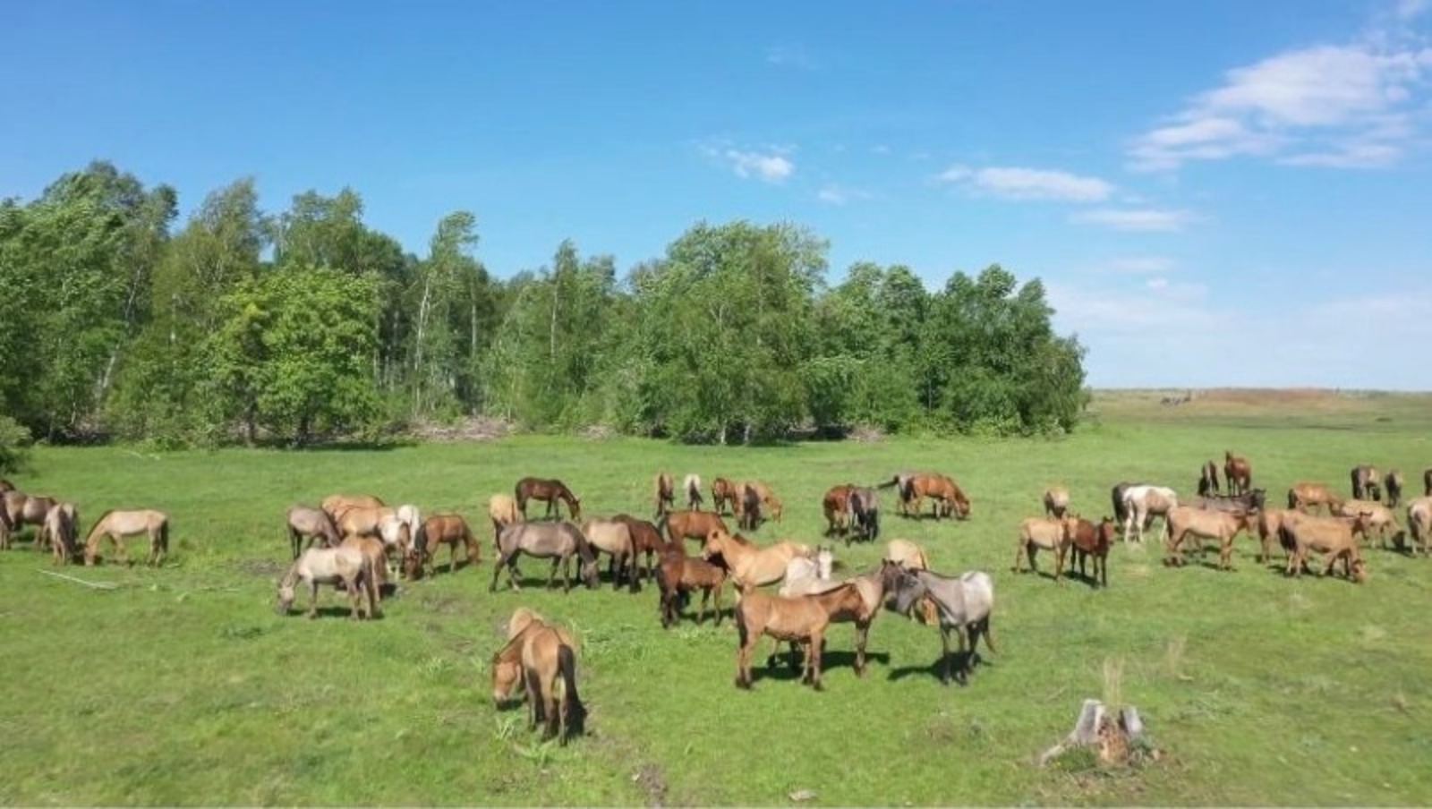 c личной страницы Радия Хабирова в соцсети.