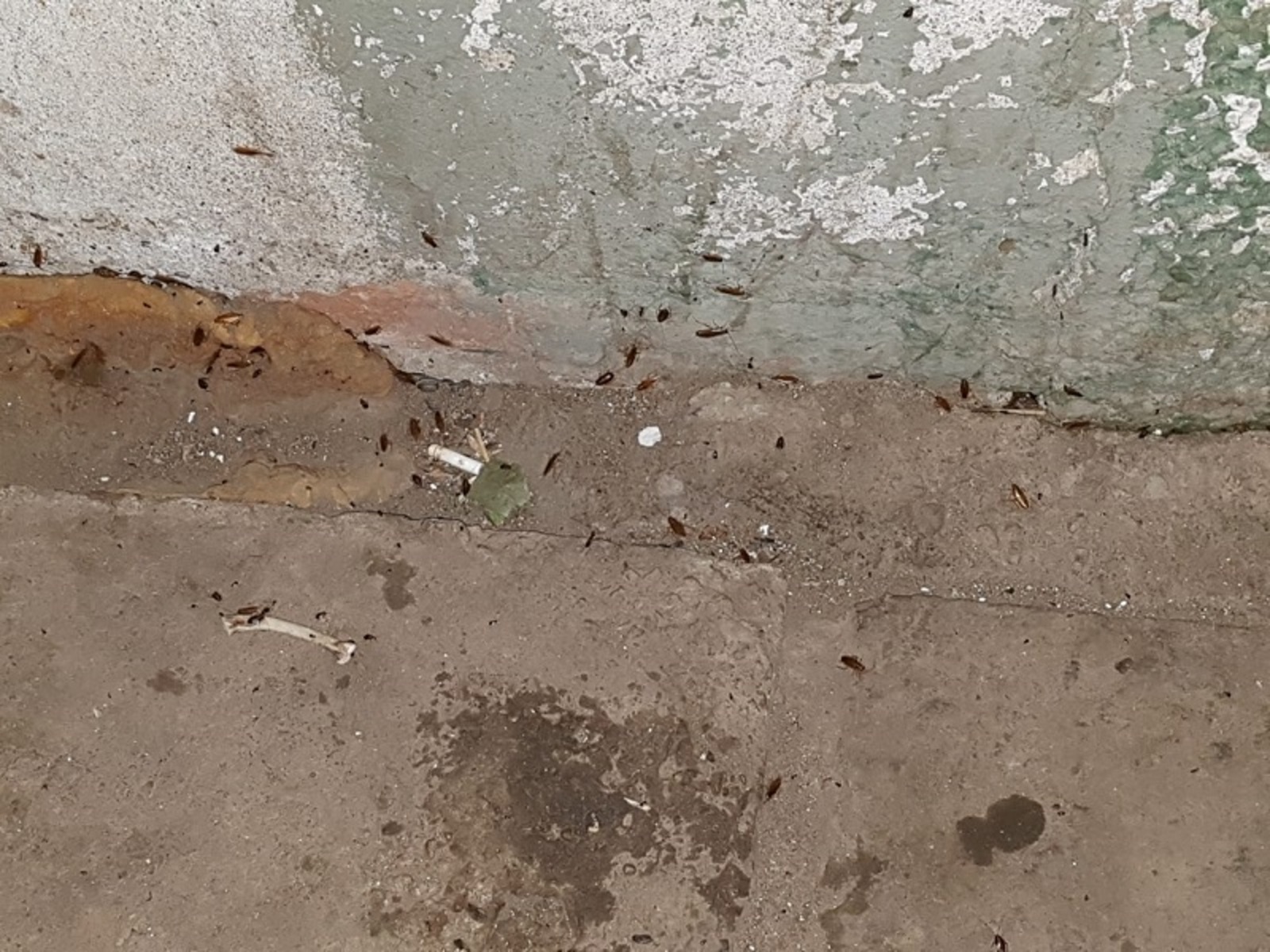 Фото предоставлено жильцами дома.