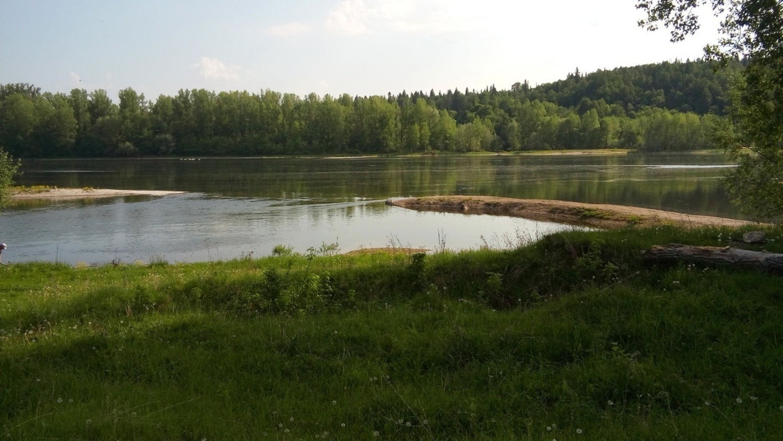 Евгении Сюткиной.