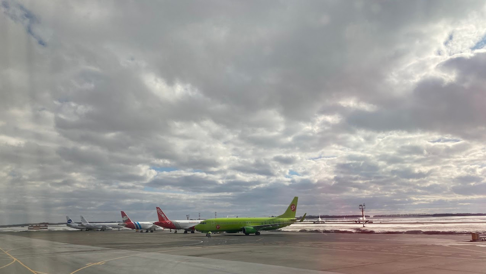 Елены Колоколовой.