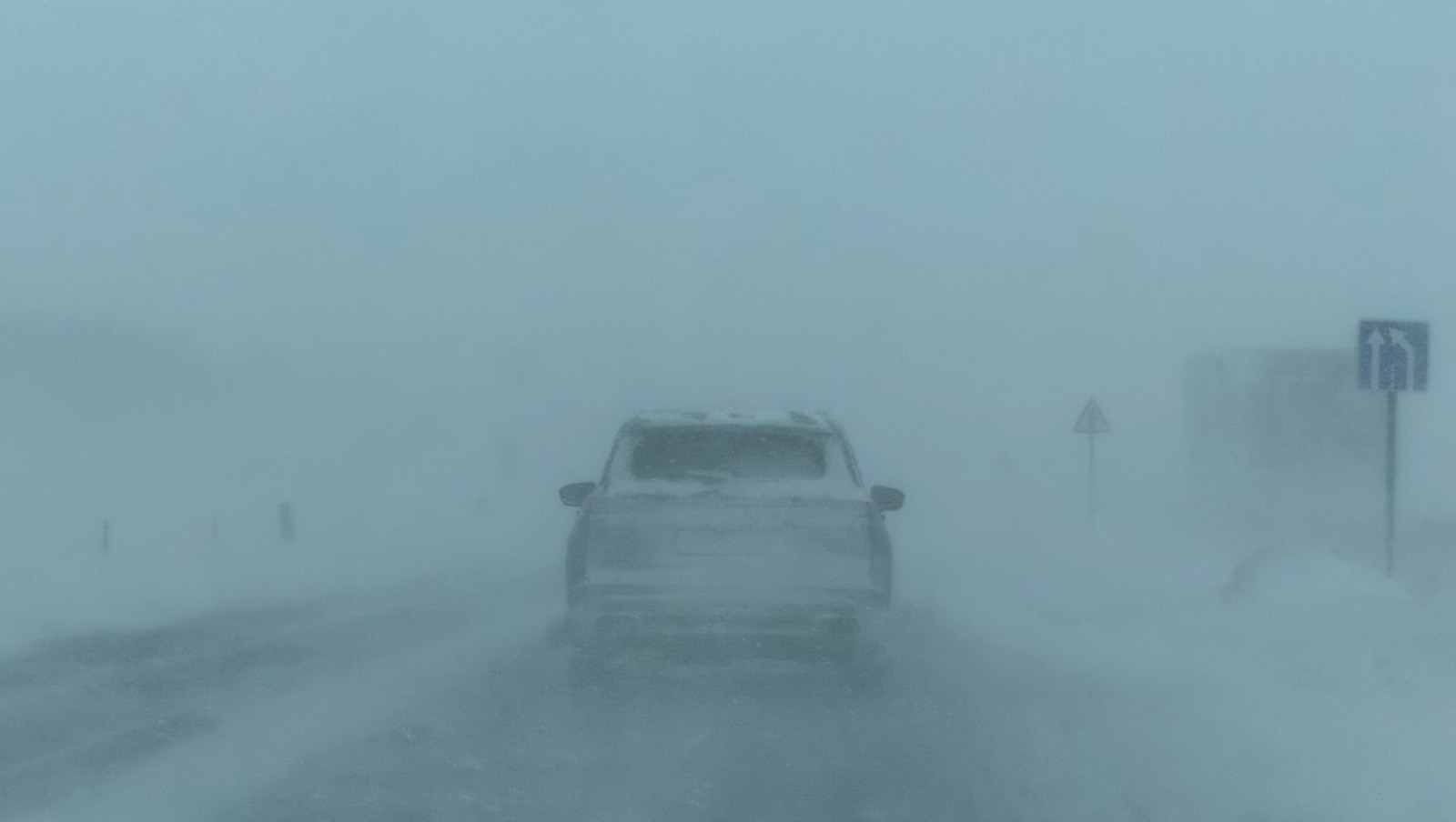 Елены Колоколовой.  «Общественная электронная газета».