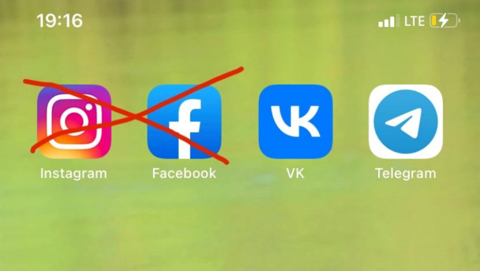 Елены Колоколовой.