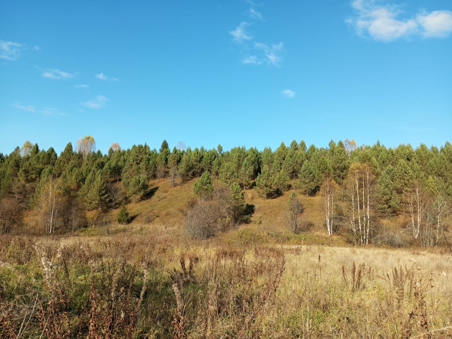 Евгении Сюткиной.