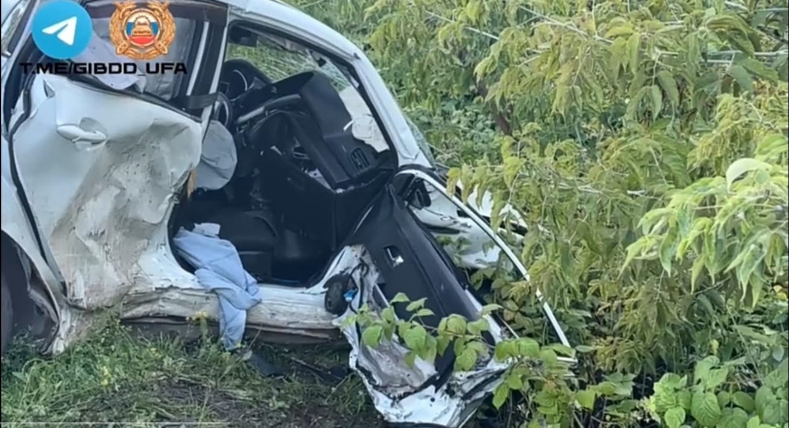 скриншот видео.