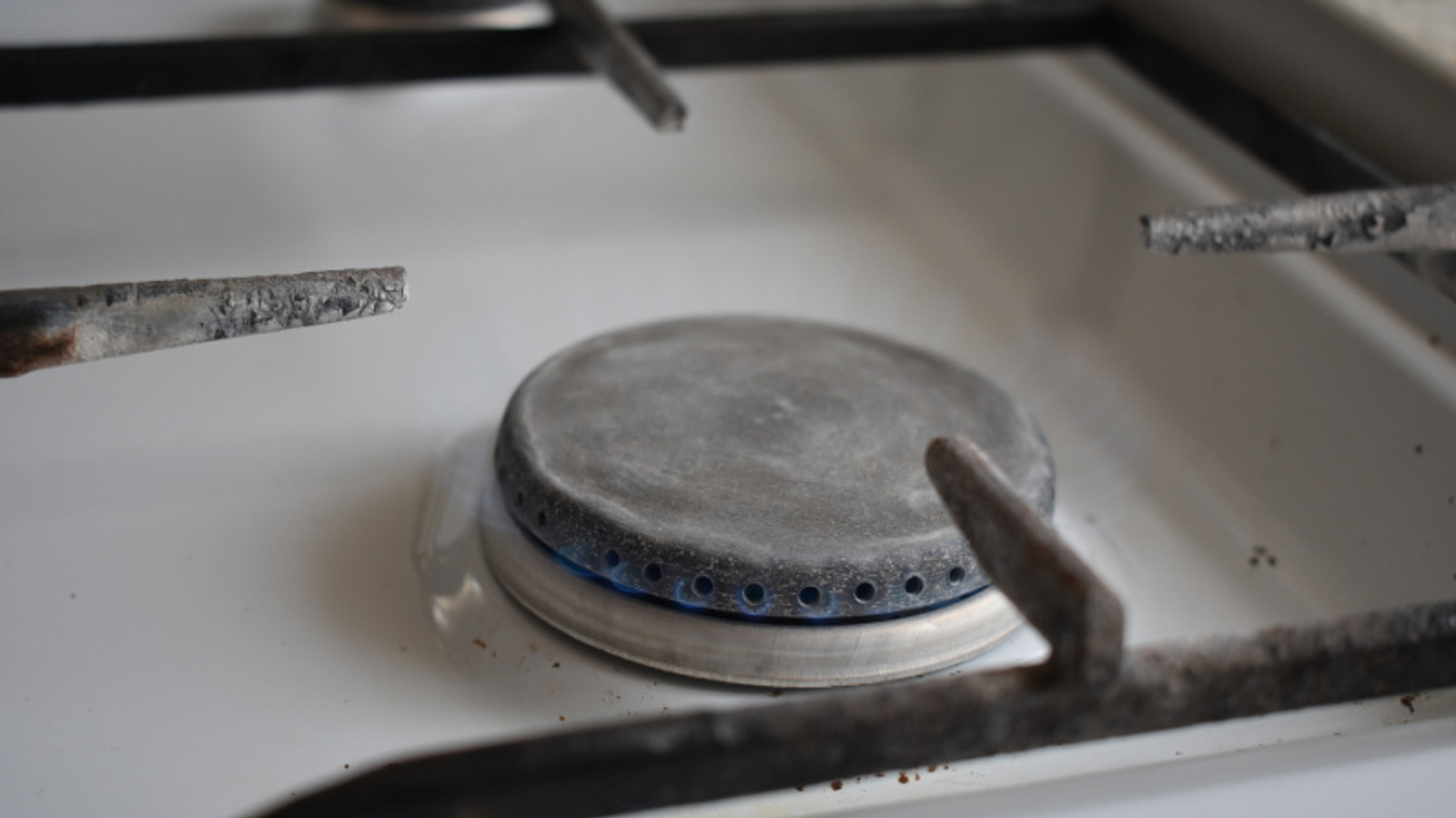 Фото Елены Колоколовой.