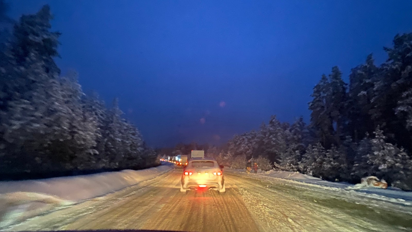 Елены Колоколовой.