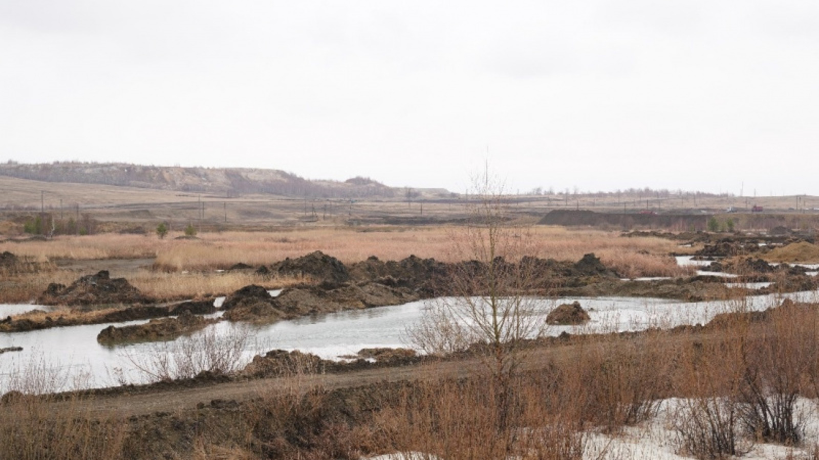 Фото Олега Яровикова.