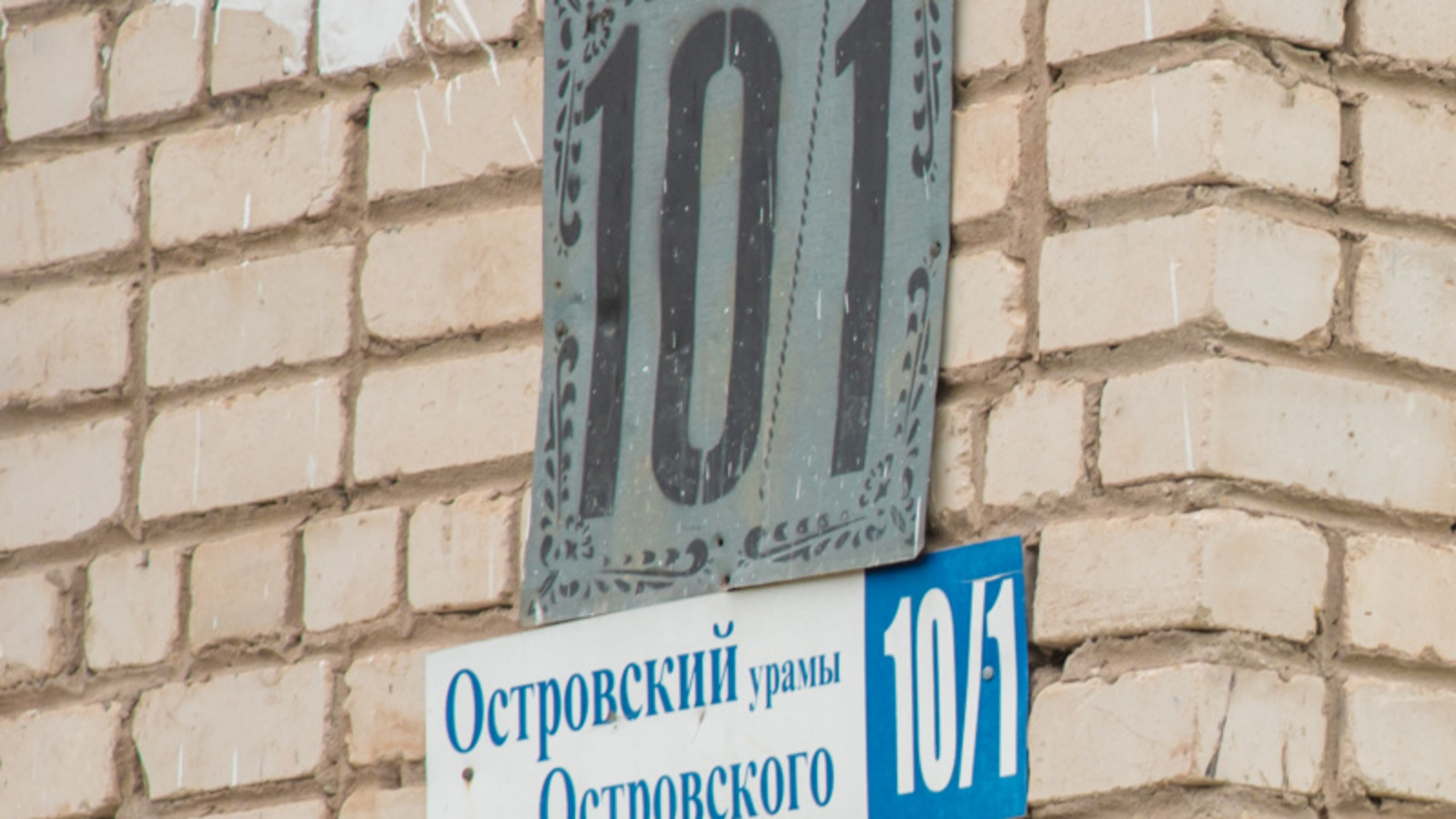 Фото автора.