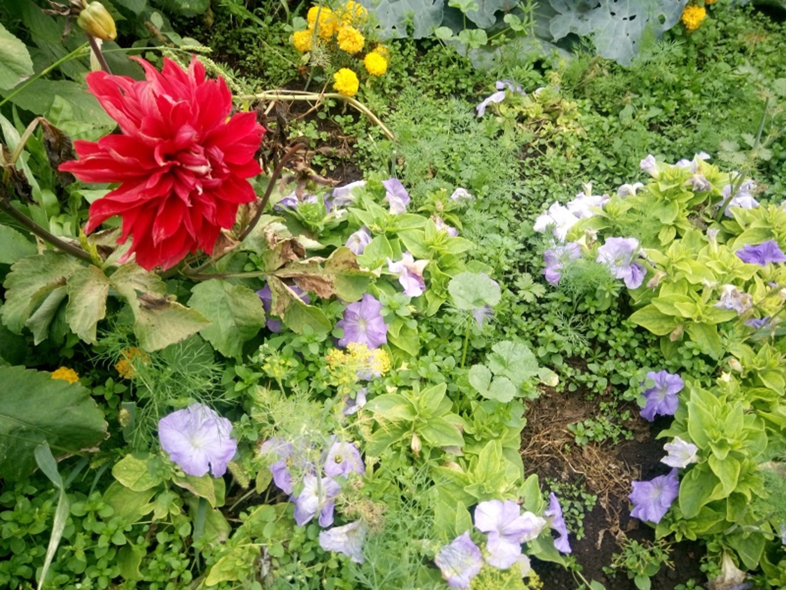 Фото Васили Саитовой.