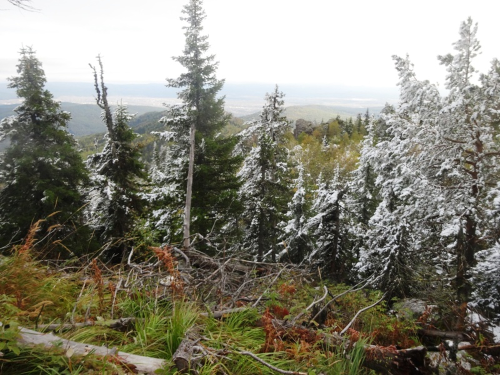 Фото Елены Колоколовой.