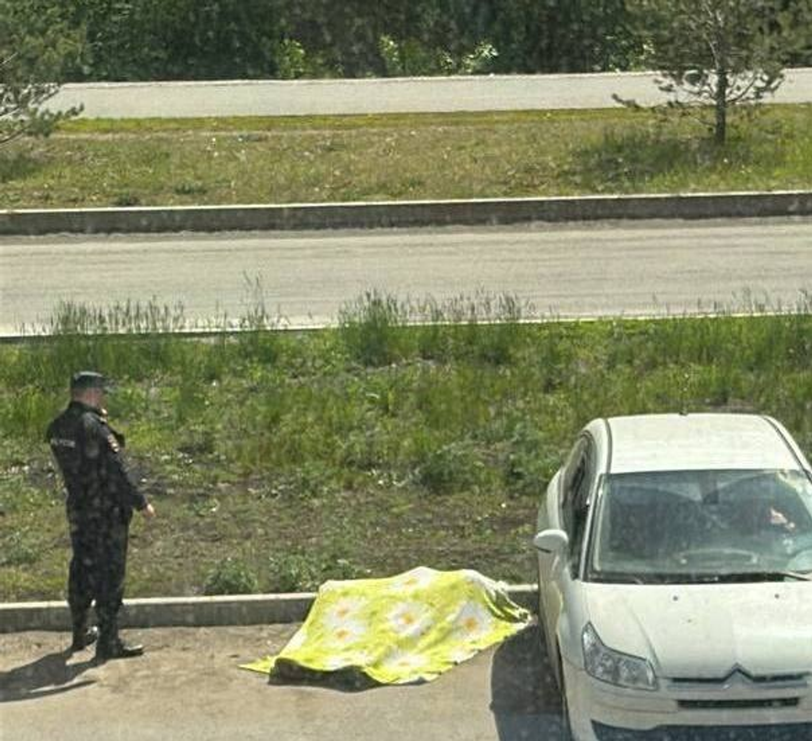 предоставлено свидетелями.