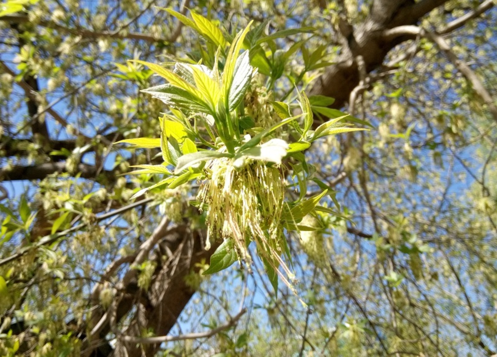 Фото Васили Саитовой.