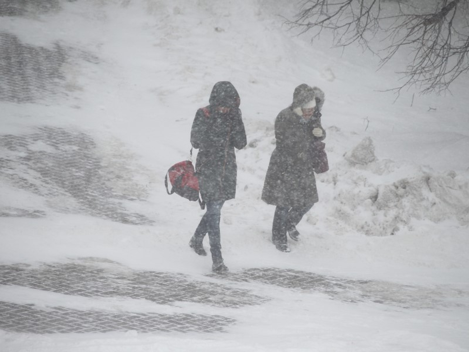 Фото Олега Яровикова.