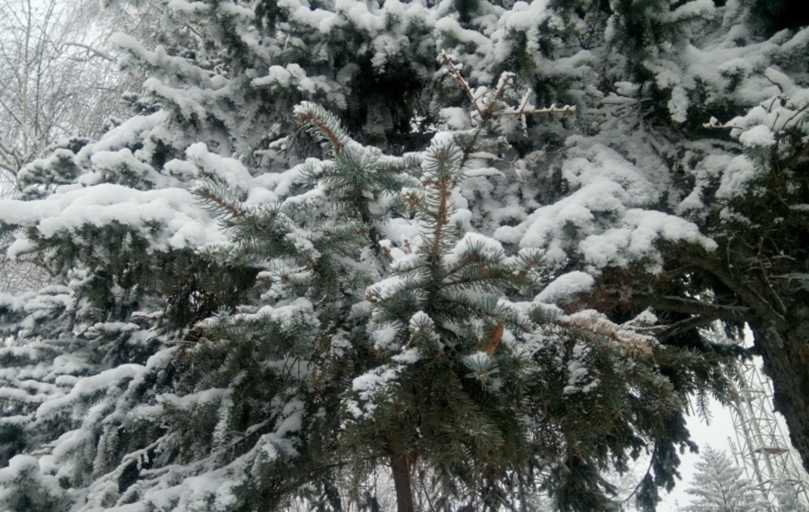 Фото Васили Саитовой.