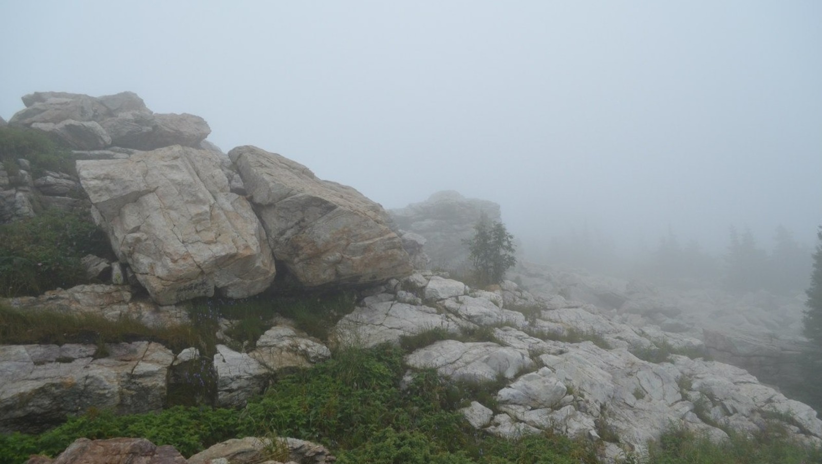 Владимира Шакиева.