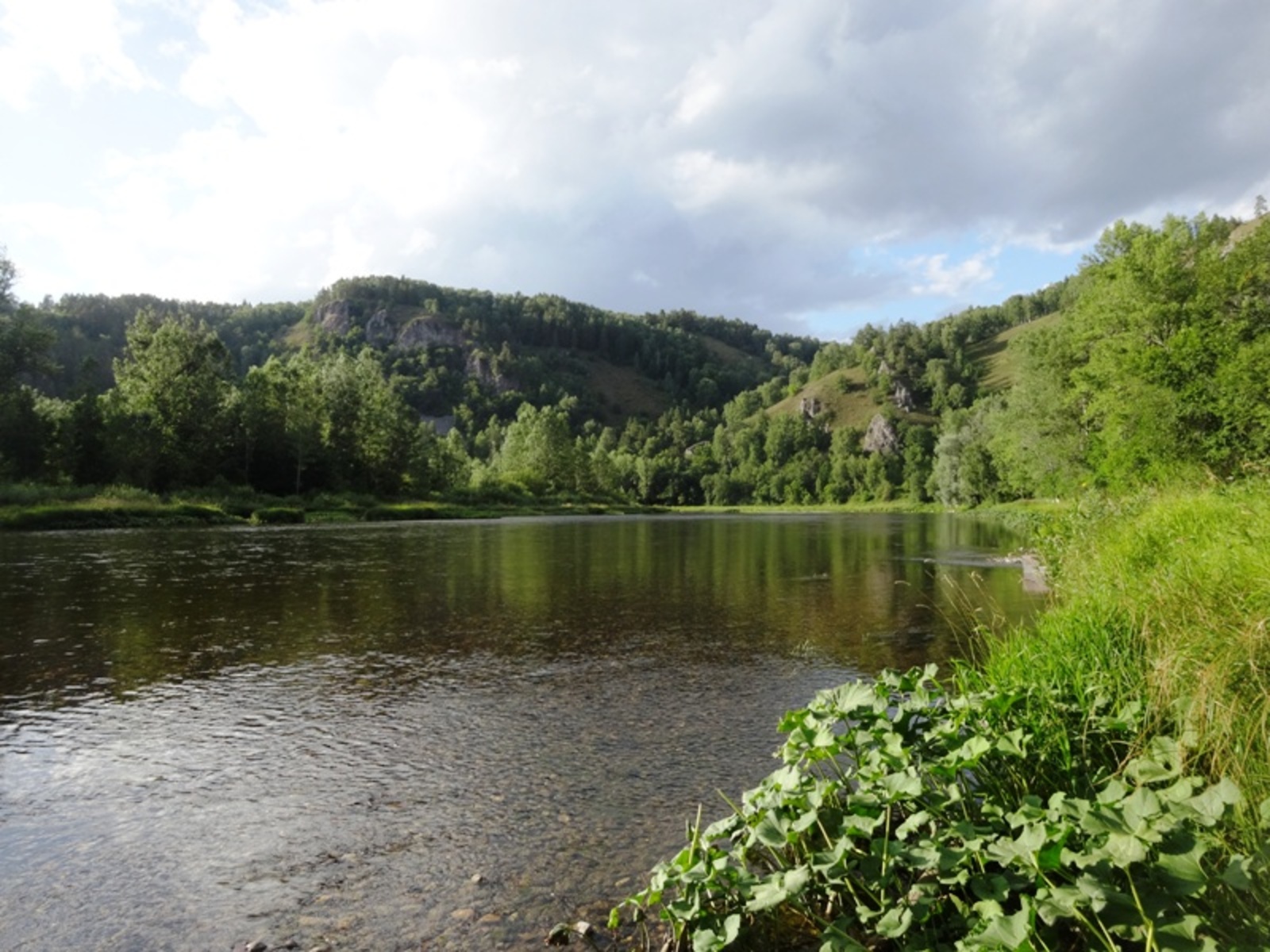 Фото Елены Колоколовой.