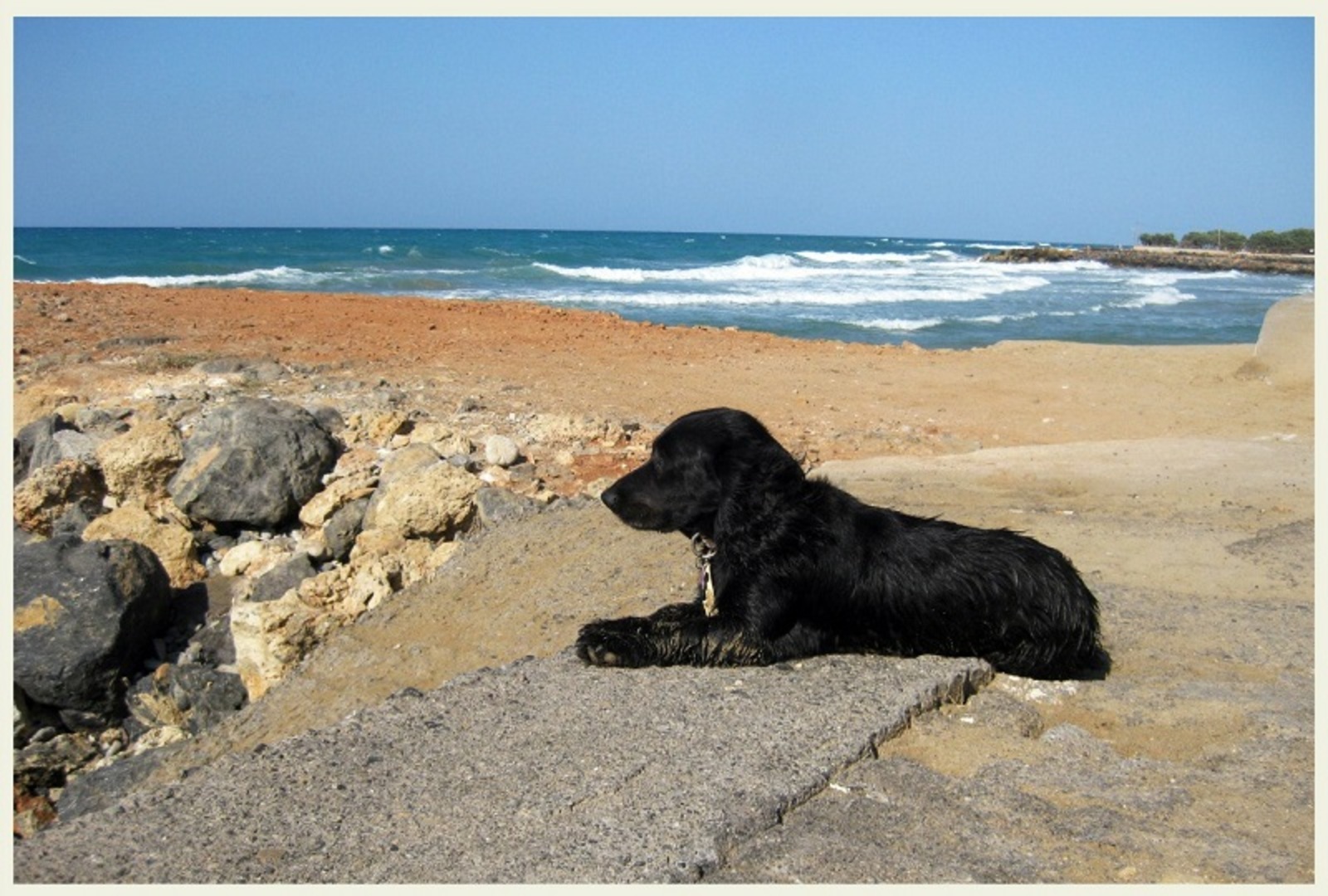 Фото предоставлено автором.