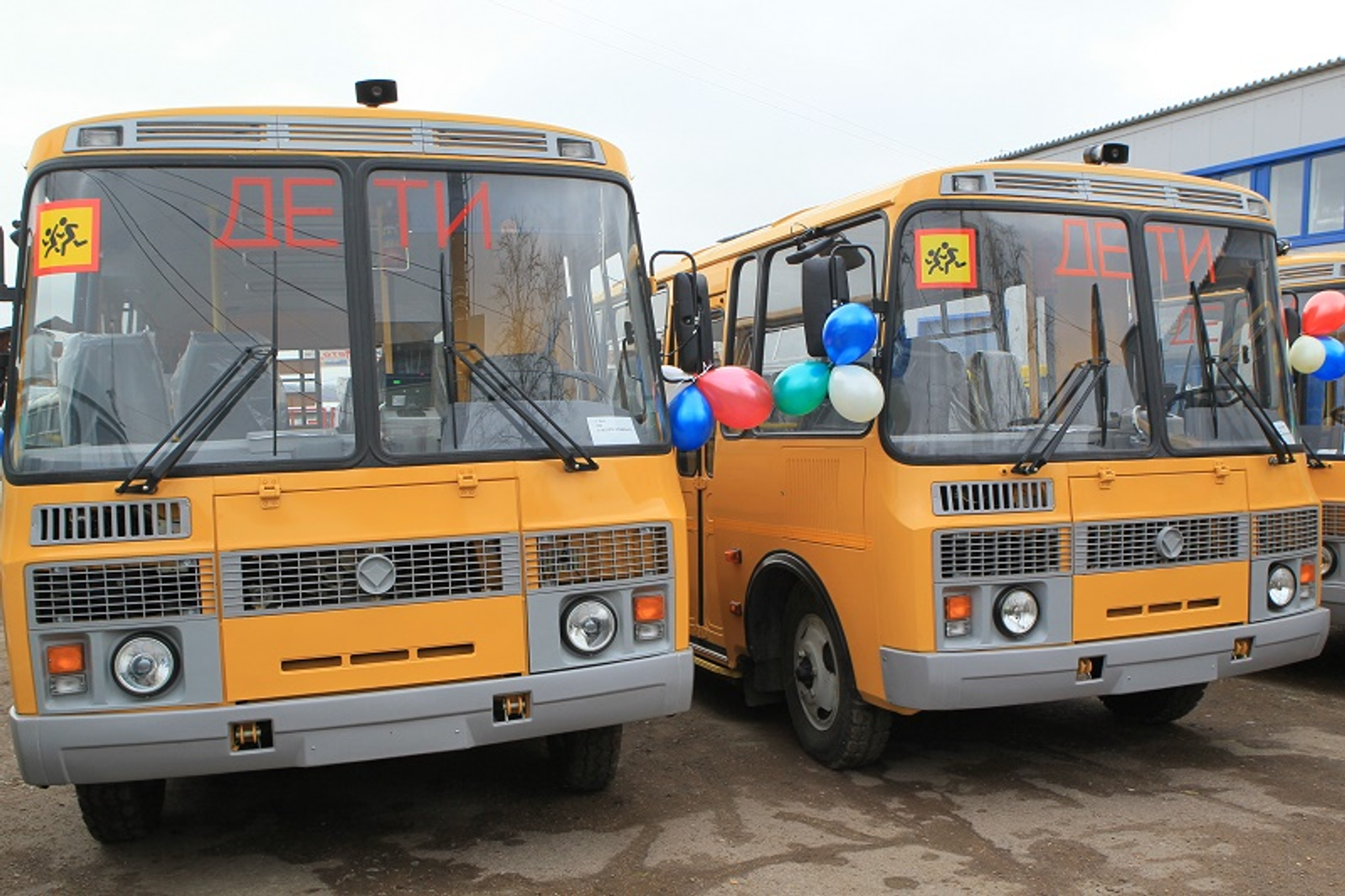 Фото Андрея Старостина.