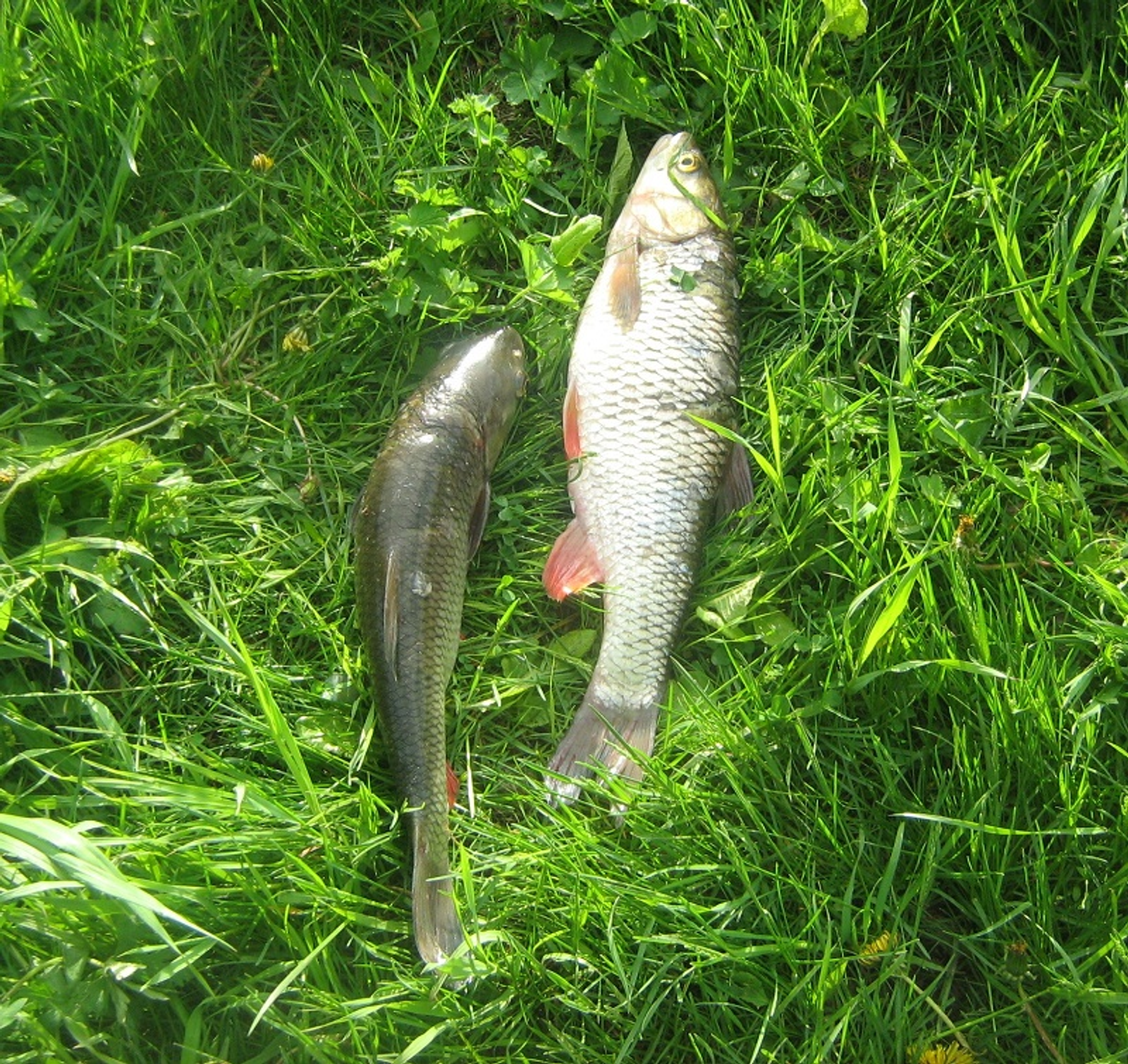 Фото Евгении Сюткиной.