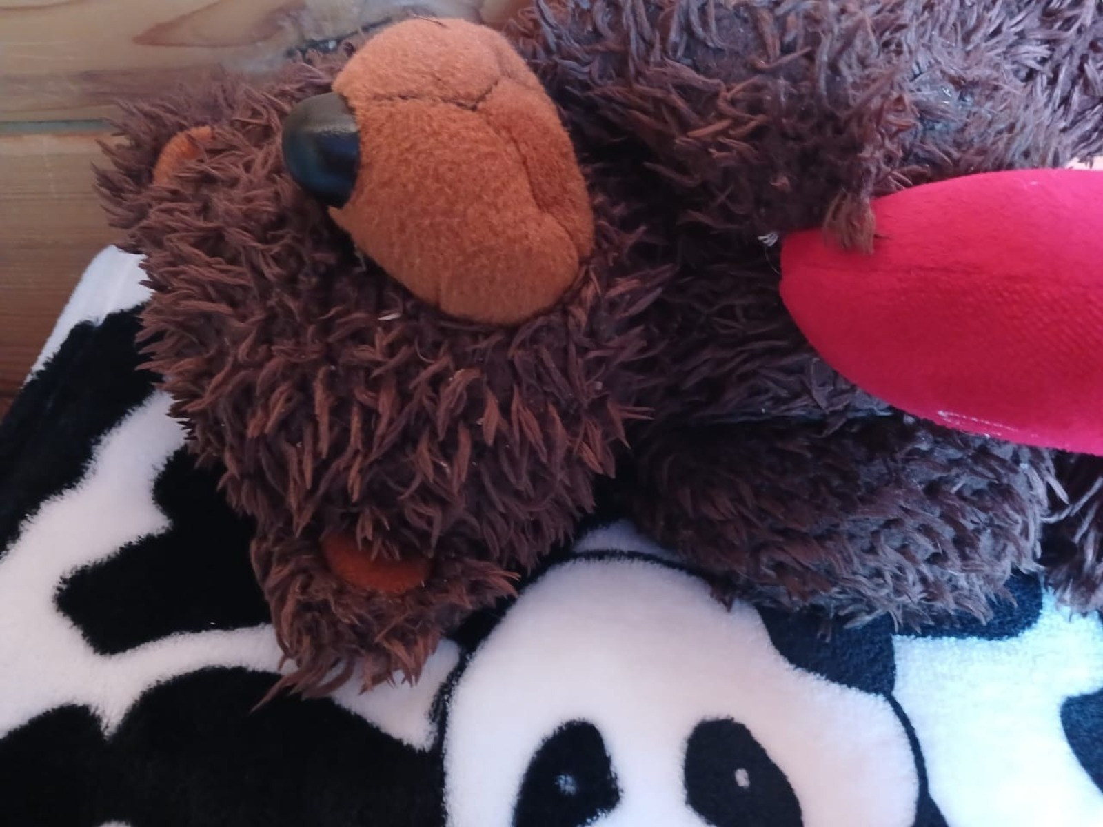 Васили Саитовой.